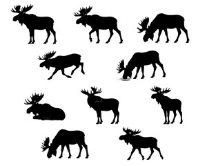 wild animals silhouettes © Sana