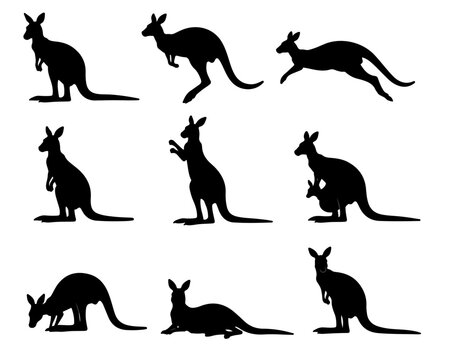 kangaroo vector silhouettes