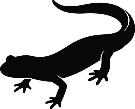 Black silhouette of a crawling salamander or lizard vector illustration isolated on white background