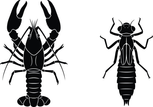 Black silhouette of freshwater crayfish and dragonfly nymph insect vector illustration isolated on white