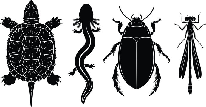 Black silhouette set of aquatic pond animals including turtle salamander beetle and dragonfly isolated on white