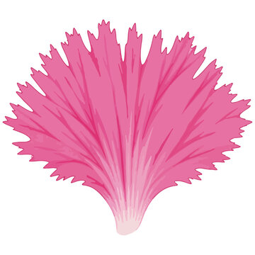 Pink Tropical Leaf Vector Illustration Stylized Botanical Element