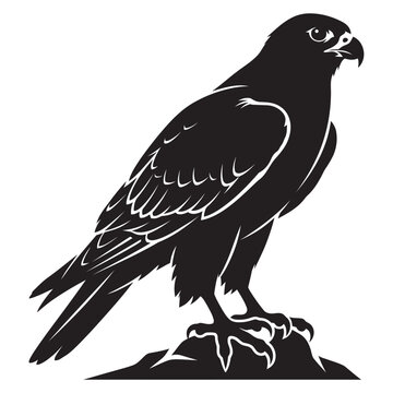 Desert falcon, black and white vector silhouette, pure white background.