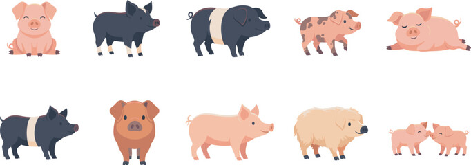 Cute pig and piglet vector illustration set featuring various farm animal breeds, spotted hogs, sleeping swine, and pink piglets isolated on white background © Sukhi