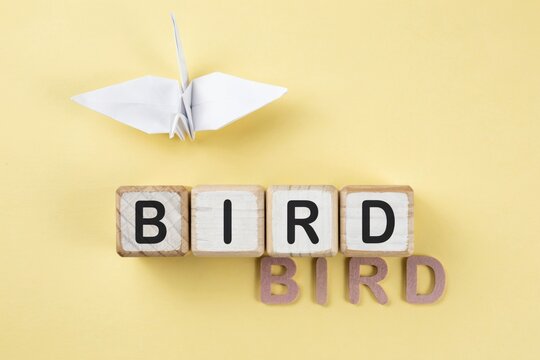 Origami Paper Crane and Wooden Blocks Spelling Bird on Yellow Background