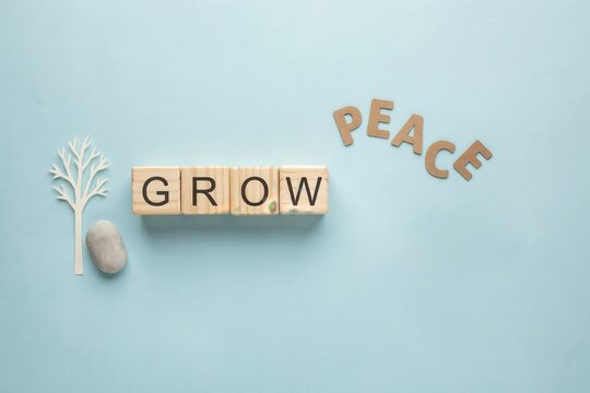 Concept of growth and peace with wooden blocks, letters, paper tree, and stone on blue background for harmony