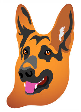 German shepherd color illustration