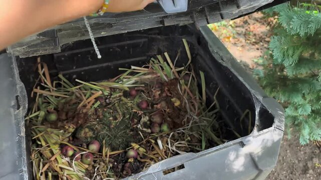 Inside a plastic garden compost bin with organic waste