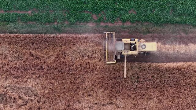 Farm field, farmers work with tractor on farmland,