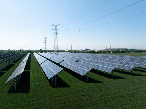 rows of solar panels on green grassland under blue sky