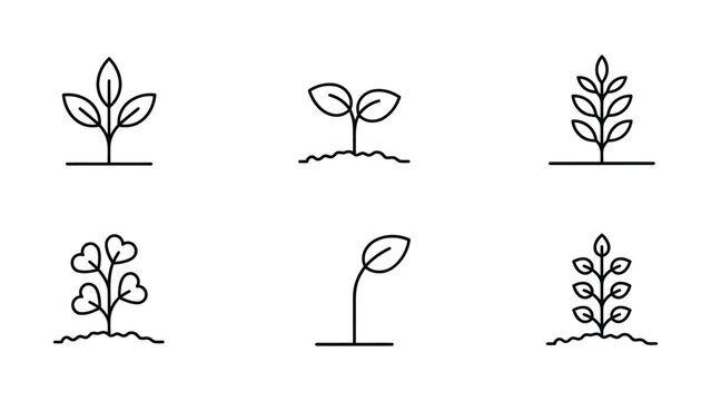 Set of six minimalist black line showing small plants, seedlings, and sprouts growing in soil on a white background