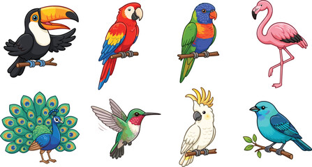 Obraz premium Beautiful tropical birds cartoon characters set including colorful parrot toucan peacock flamingo and cockatoo vector illustration