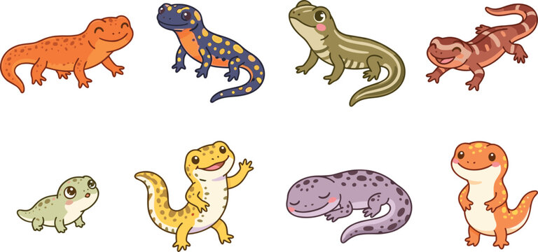 Cute cartoon gecko lizards and colorful salamander characters set featuring funny smiling exotic reptiles vector illustration