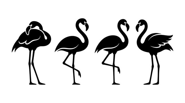 Set of black flamingo bird silhouettes in various poses.