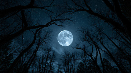 Fototapeta premium breathtaking full moon framed by bare tree branches under starry night sky, mystical lunar landscape with glowing moon and silhouetted trees, cinematic night sky with full moon