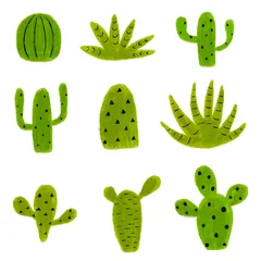 Collection cactus plants in various shapes. Green cactus © barberry