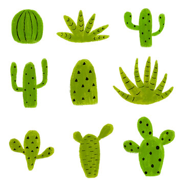 Collection cactus plants in various shapes. Green cactus