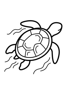 Hand-drawn turtle illustration with detailed shell pattern. Cute animal line art vector for kids and nature designs.