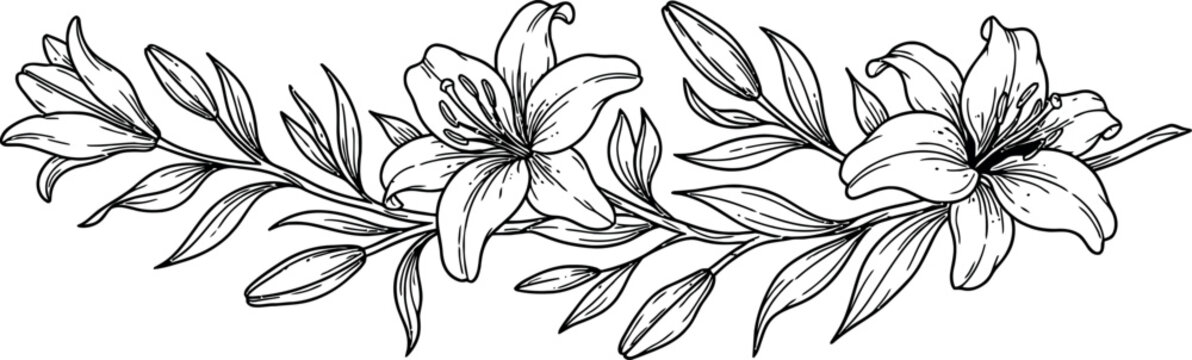 An elegant horizontal floral arrangement featuring delicate hand-drawn lily flowers and lush foliage in a clean black and white ink sketch style on white background