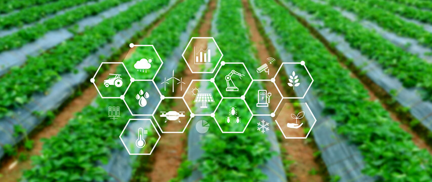 Smart agriculture and agritech concept. Hand using touching digital icons interface of modern farming technology, Agribusiness innovation and smart farming management. not ai