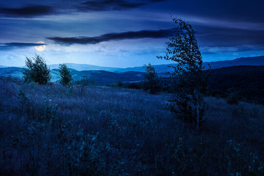 tree on a field in mountain landscape at night. full moon over green countryside of ukraine in summer. cloudy weather. carpathian landscape in dappled light. mysterious carpathian highland