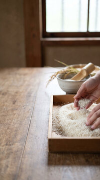 Rice for sake making with brewer holding polished white grains in a traditional wooden tray. Essential raw ingredient for Nihonshu production and World Sake Day traditions