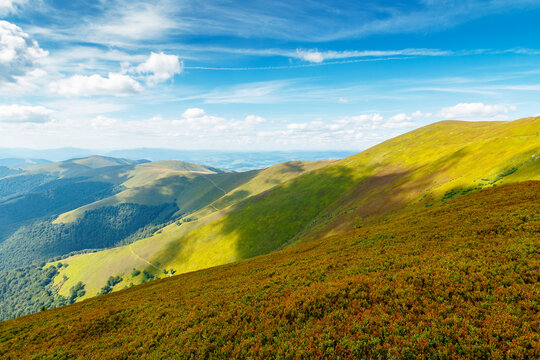 Carpathian mountain landscape in summer. scenic view of Transcarpathia region from Stiy summit. hiking trail through Borzhava range. grassy hill in dappled light