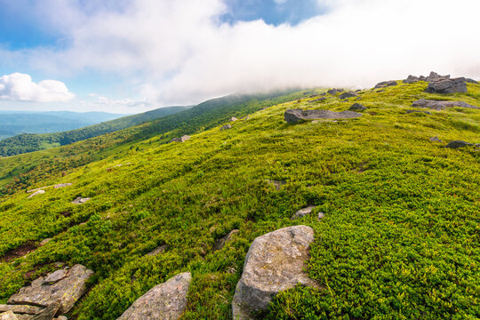 nature scenery with mountain under summer sky. alpine landscape of carpathian mountain with grassy slopes. low fluffy clouds on high altitude. summer vacations