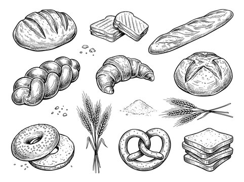 Hand drawn black ink sketch of bread variety, sourdough, baguette, croissant, and wheat on white background