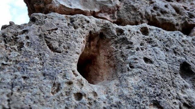 Xemxija Heritage Trail - Farmers Hut Gorborg close up and inside of carved stone on the wall of the old farm house, used to tie animals.