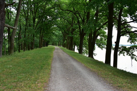 landscape od cycle way in region of town Trebon in Czech republic