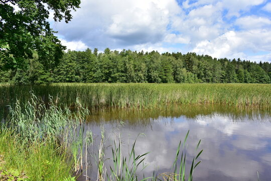 landscape od cycle way in region of town Trebon in Czech republic