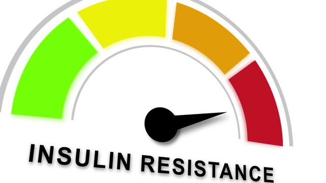 Animated insulin resistance gauge meter moving from healthy green to high-risk red zone indicating metabolic syndrome, type 2 diabetes risk, sugar levels, and endocrine health diagnostic concept