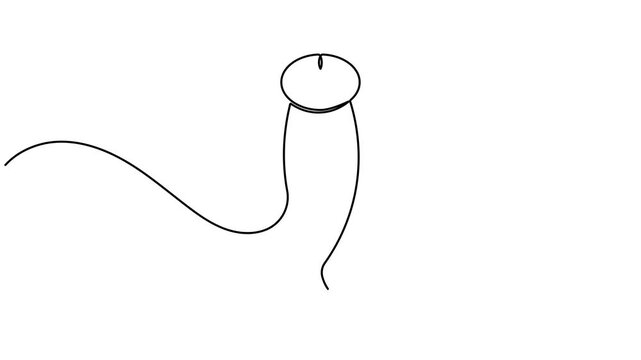 Human reproductive system and penis icon sign continuous one line drawing moving on white background minimalist single art male anatomy organ symbol animation video