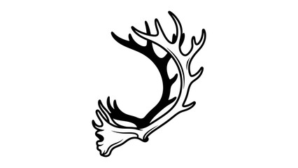 Antler Silhouette: A striking black and white illustration of a majestic deer antler, rendered in a clean, minimalist style. © MahfujaSultana