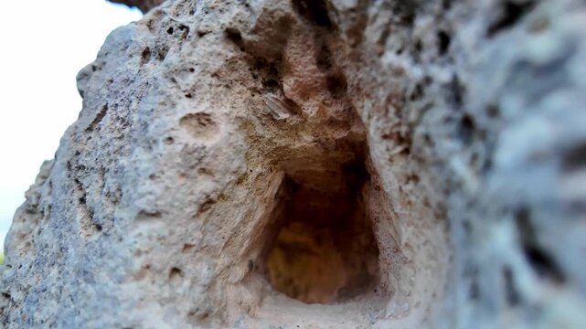 Xemxija Heritage Trail - Farmers Hut Gorborg close up and inside of carved stone on the wall of the old farm house