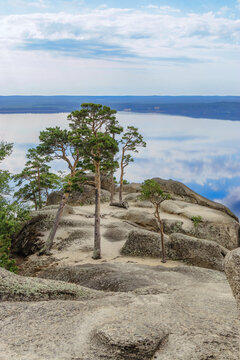 Beautiful green pine tree growing on peak of mount Bolektay and view on Burabay Borovoe Lake, cloud sky, blue bay. Burabay National Nature Park in Kazakhstan. Travel destination, summer morning.
