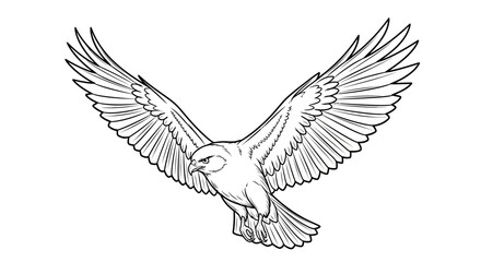 Obraz premium Black and white line art sketch of a soaring hawk with sharp wing outlines