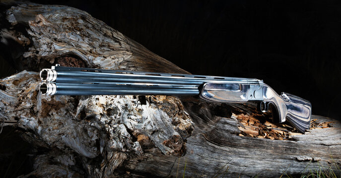 Long 12 gauge over and under shotgun on a large rotting log