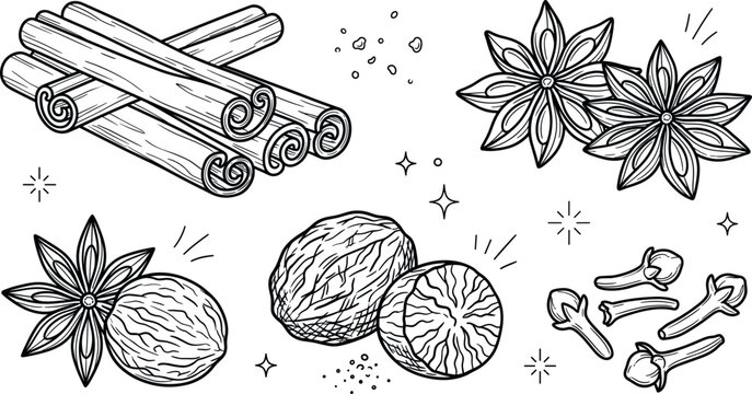 Aromatic winter kitchen spices collection line art vector illustration with cinnamon stick star anise nutmeg and clove icons.