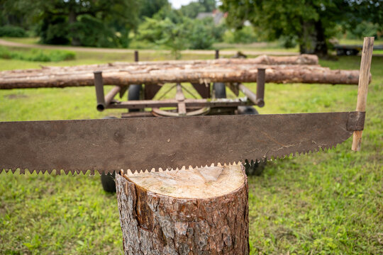 Antique two-person crosscut saw displayed on a tree stump beside a log trailer.