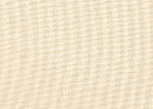 Light Beige Textured Canvas Background
