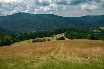 polana © piotrwolak