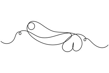 Obraz premium Male reproductive system and penis icon continuous one line drawing on white background minimalist man sexual gland symbol outline vector illustration