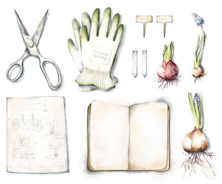 Watercolor hand drawn clipart set with garden gloves, scissors, muscari, hyacinth flowers with bulb, roots, plant labels, open notebook isolated on white background. Vintage garden illustration