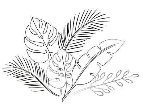 Delicate line sketch of tropical foliage