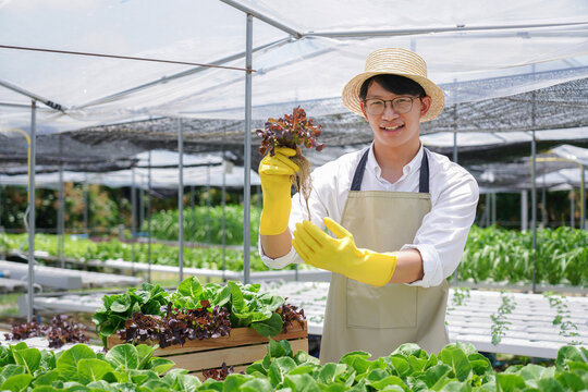 A man in a yellow apron holding a bunch of greens