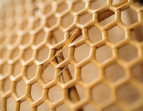 Close-up of woven bamboo lattice with natural wear