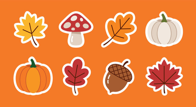 Autumn sticker set with maple leaves, oak leaves, pumpkins, mushroom, and acorn on orange background