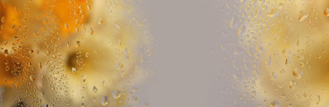 Selective Soft focus wet water Drops, narcissus Flower through glass. Abstract natural yellow orange blur gradient background.